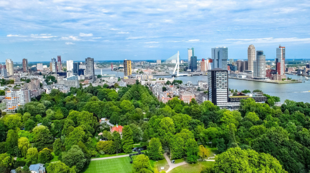 Sustainability Consulting